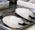 Flounder