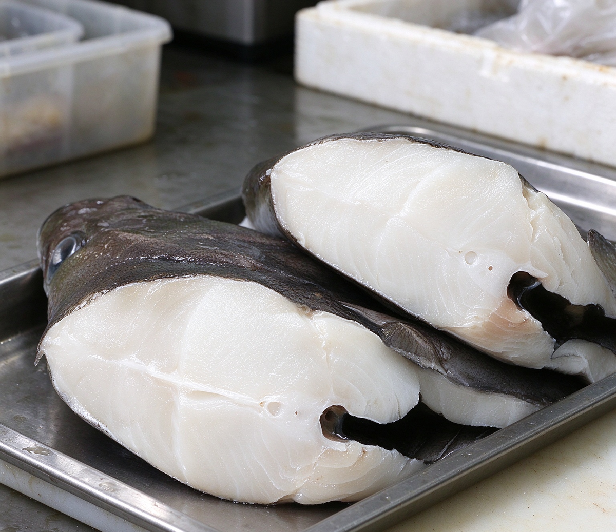 Flounder