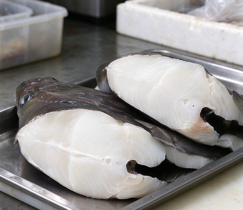 Flounder